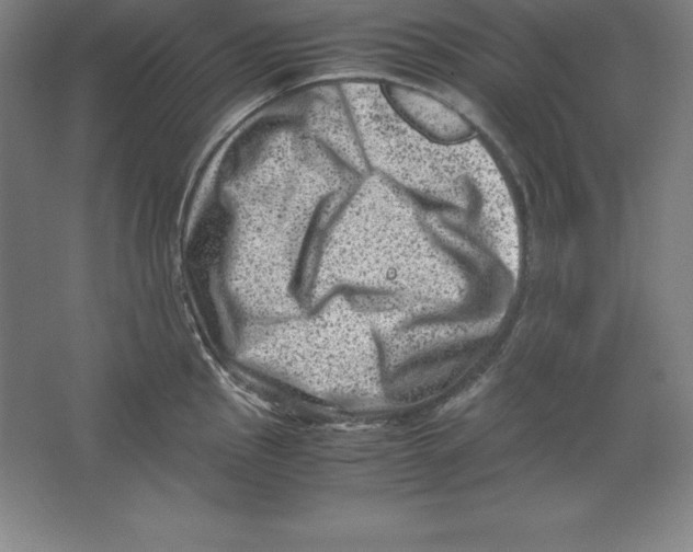 X0000062131145200512301455