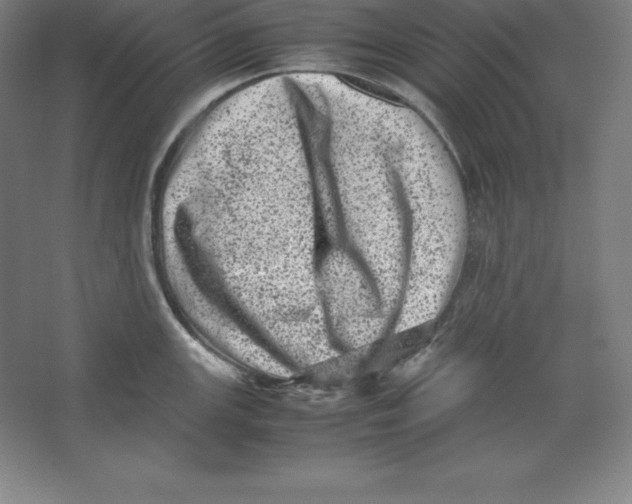 X0000062131147200512301455