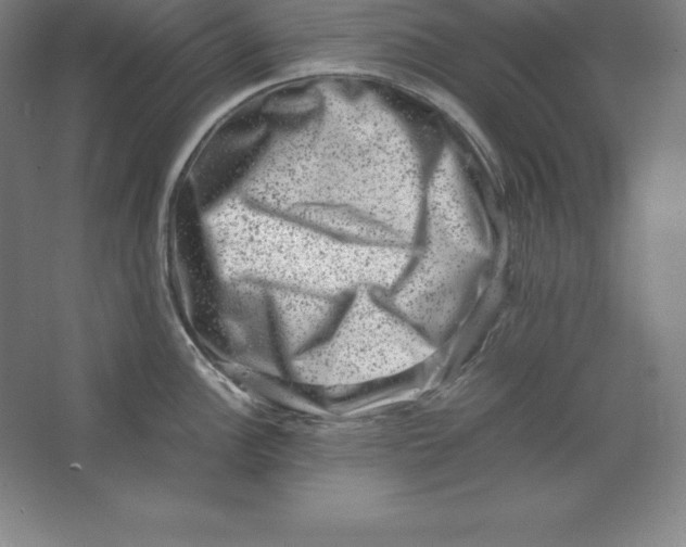 X0000062131148200512301455