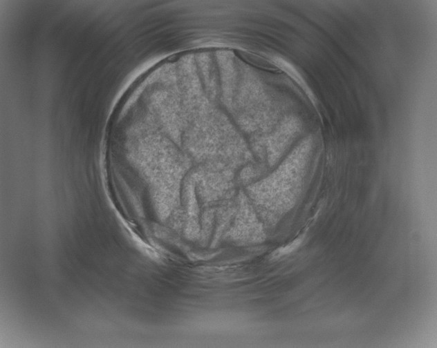 X0000062131149200512301455