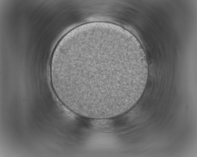 X0000062131150200512301455