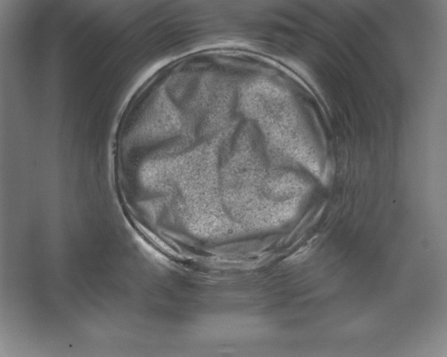 X0000062131151200512301455