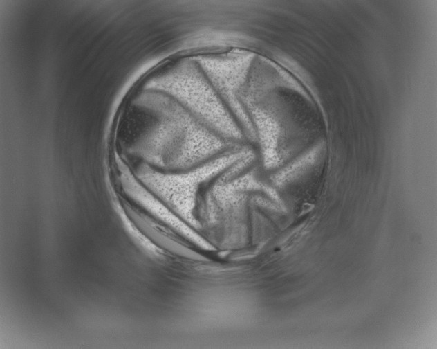 X0000062131152200512301455