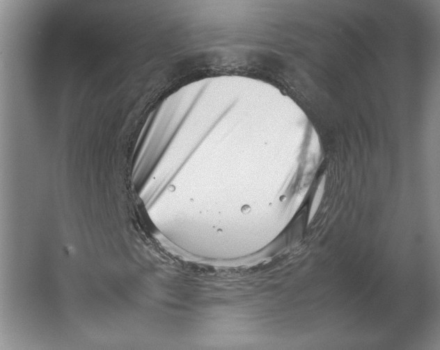 X0000062131153200512301454