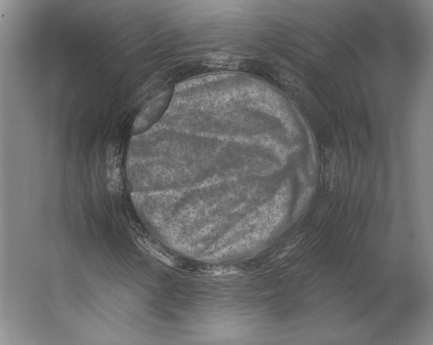 X0000062131154200512301454