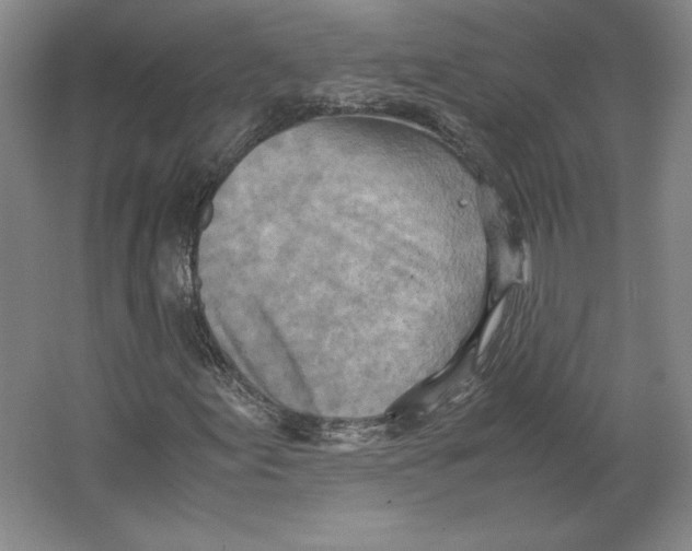 X0000062131155200512301454