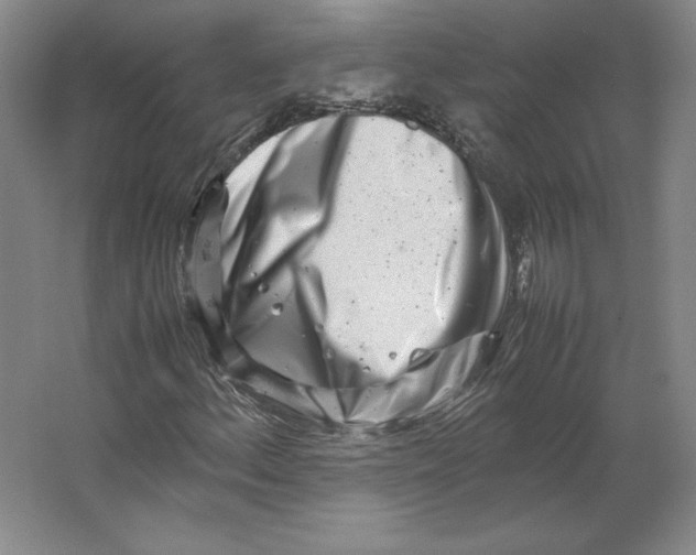 X0000062131156200512301454