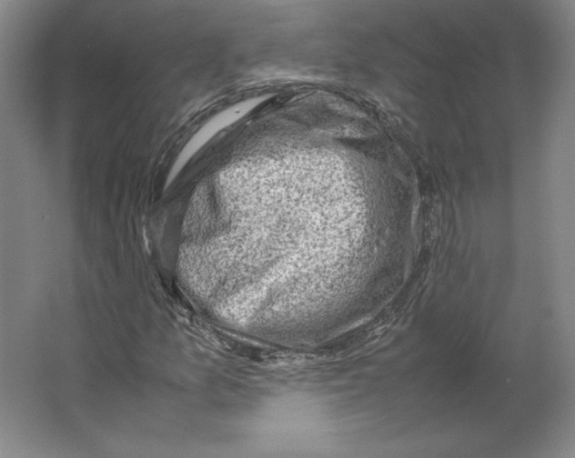 X0000062131157200512301454