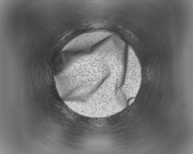 X0000062131158200512301454