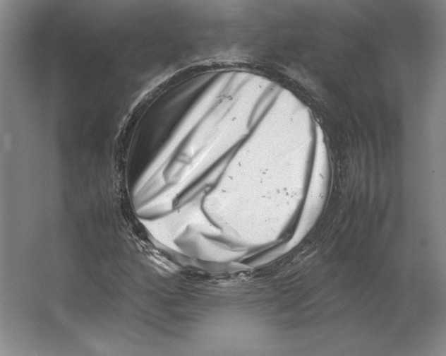 X0000062131160200512301454