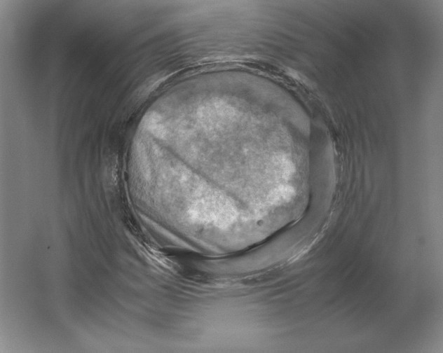 X0000062131161200512301454