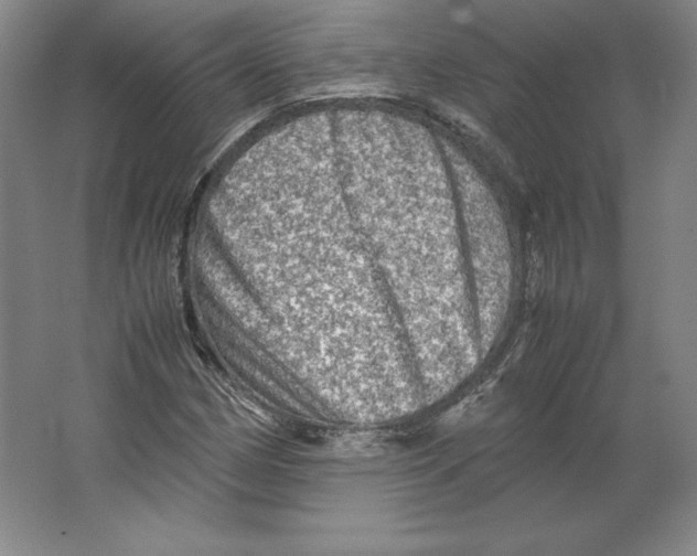 X0000062131162200512301454