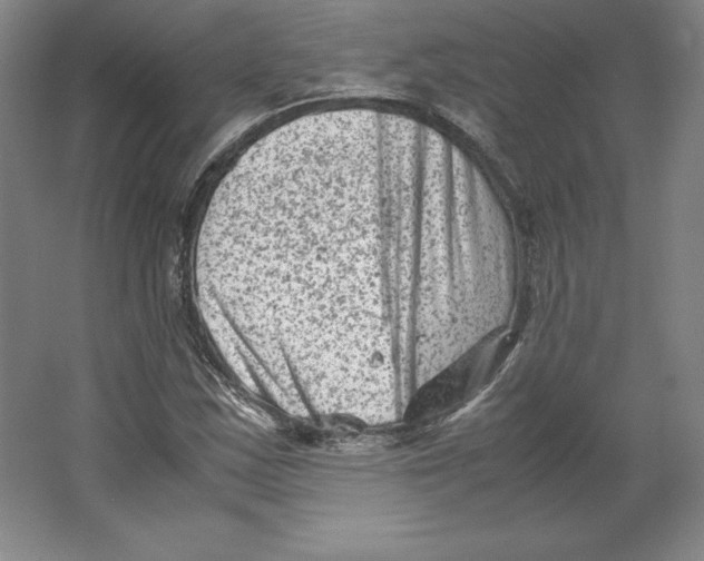 X0000062131163200512301454