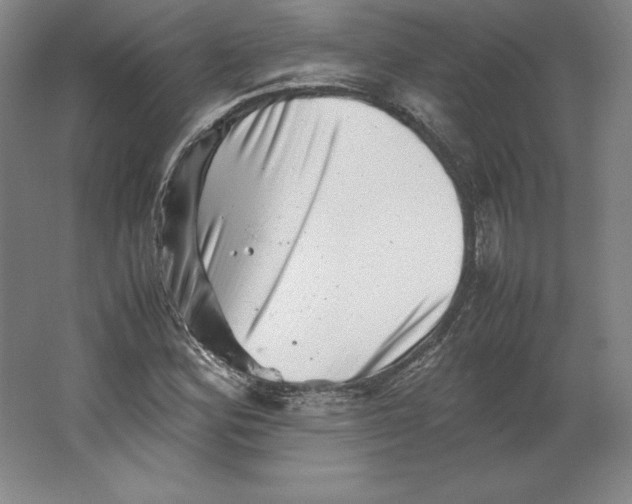 X0000062131164200512301454