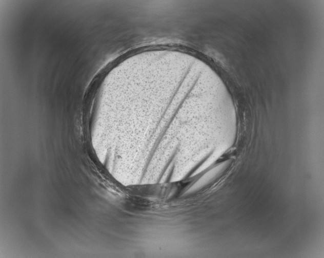 X0000062131165200512301454