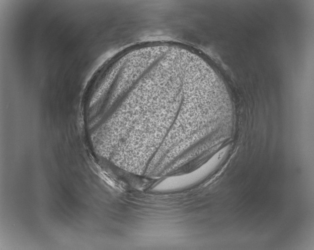 X0000062131167200512301454