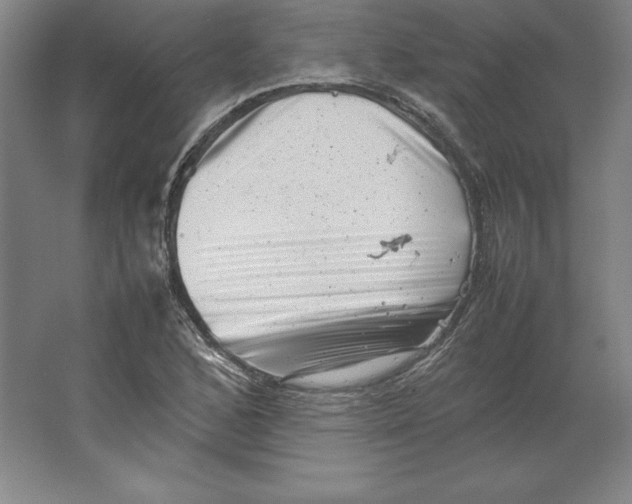 X0000062131168200512301454