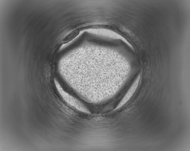 X0000062131169200512301454