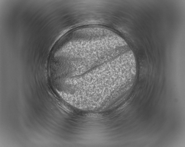 X0000062131170200512301454