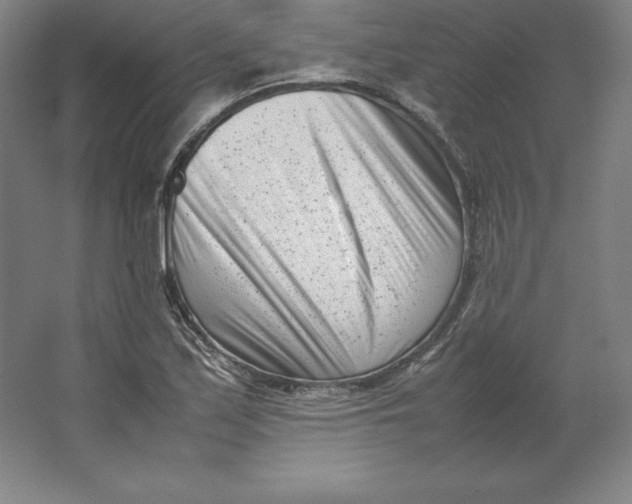 X0000062131171200512301454