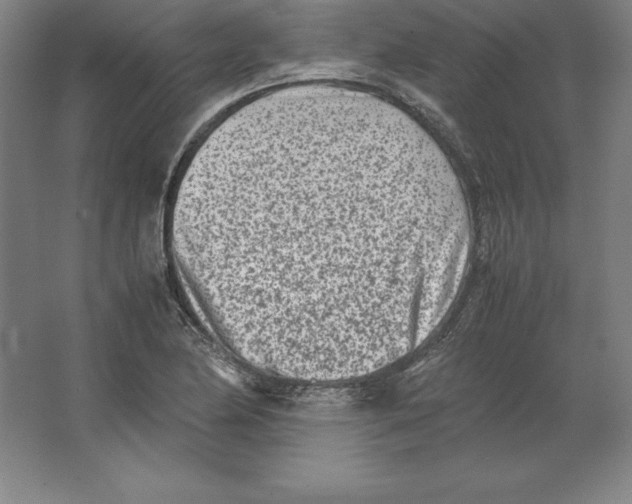 X0000062131174200512301453