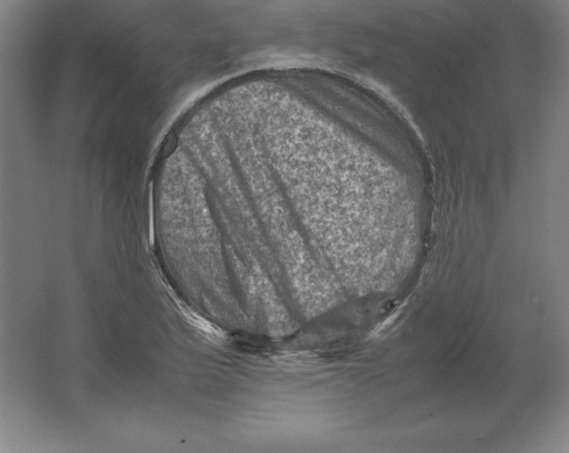 X0000062131175200512301453