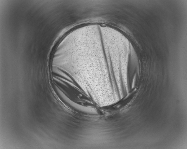 X0000062131176200512301453