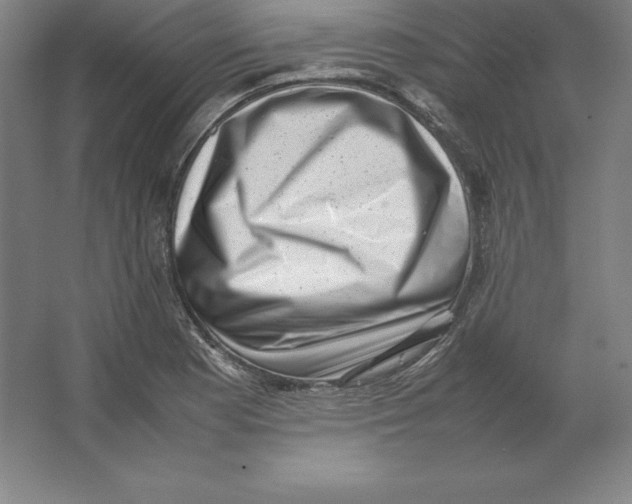 X0000062131177200512301453