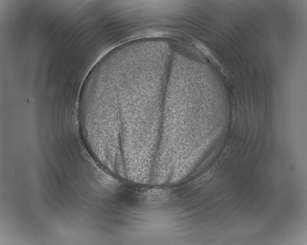 X0000062131178200512301453