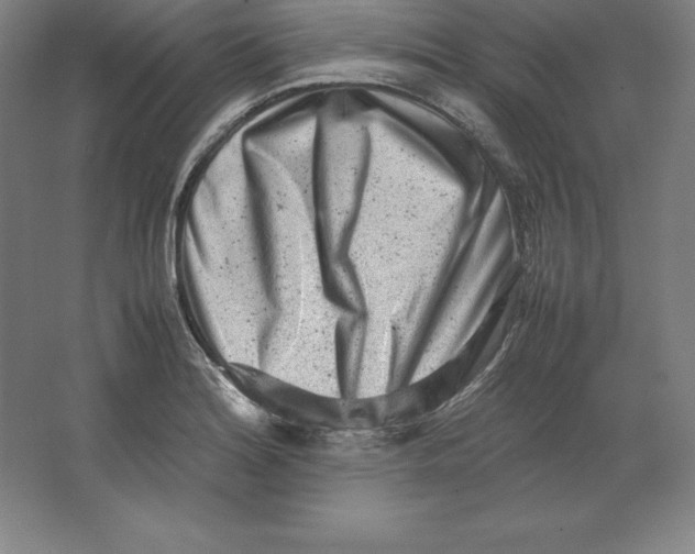 X0000062131180200512301453