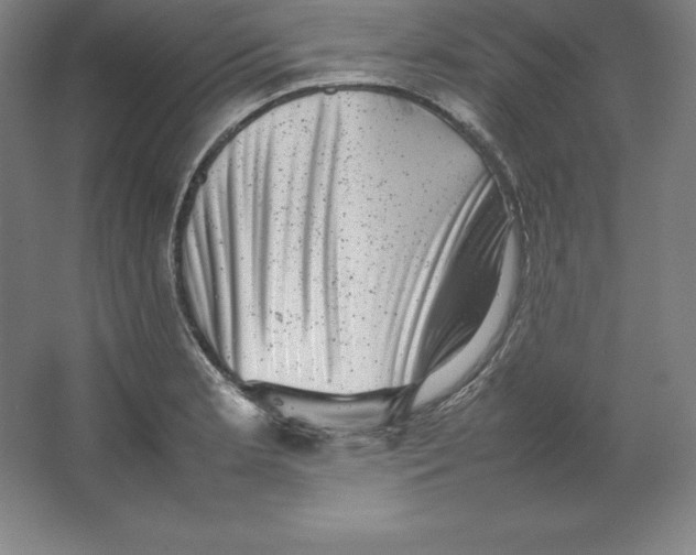 X0000062131181200512301453