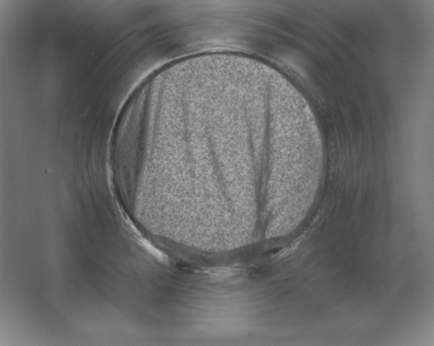 X0000062131182200512301453