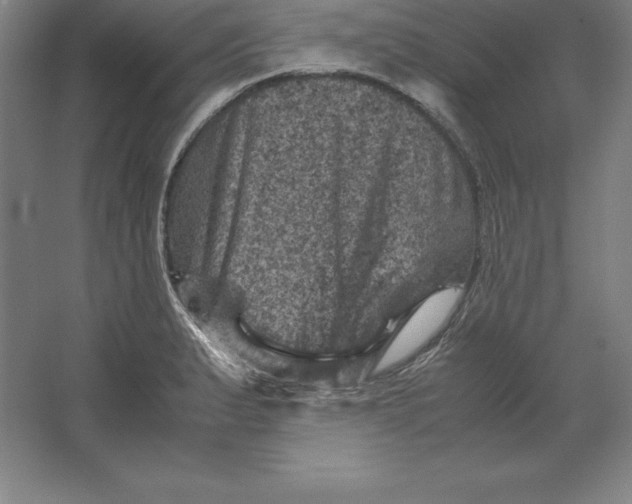 X0000062131183200512301453