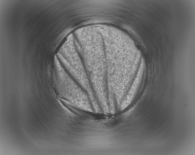 X0000062131185200512301453