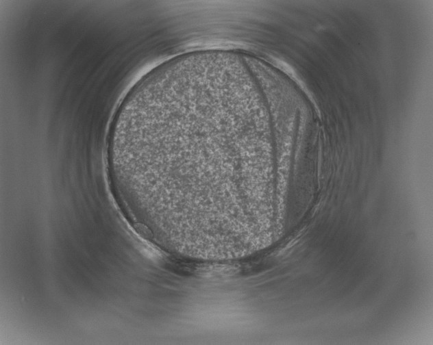 X0000062131187200512301453