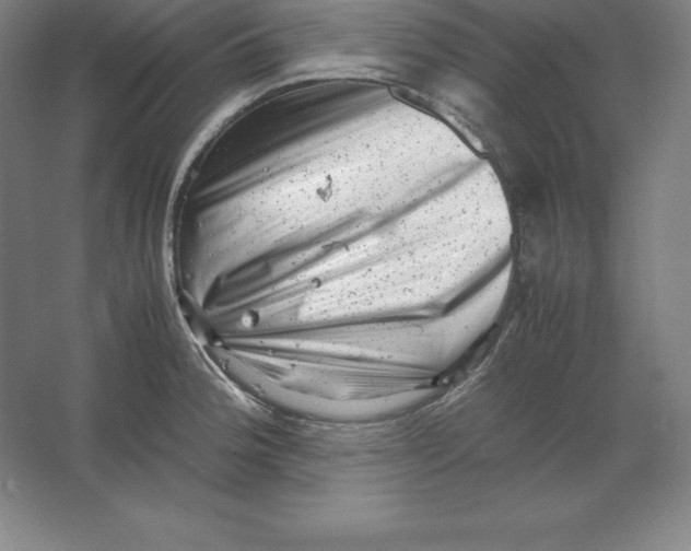 X0000062131188200512301453