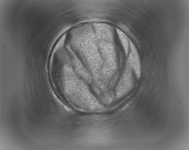 X0000062131189200512301453