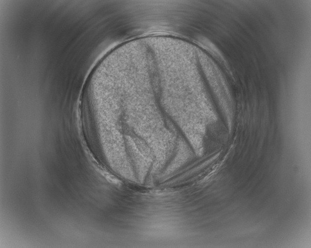 X0000062131190200512301453