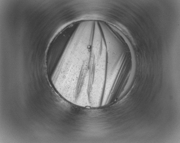 X0000062131192200512301453