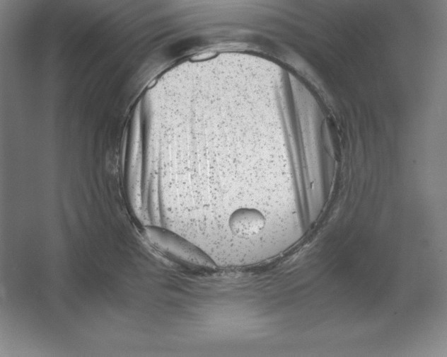 X0000062131193200512301453