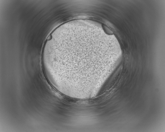 X0000062131194200512301453