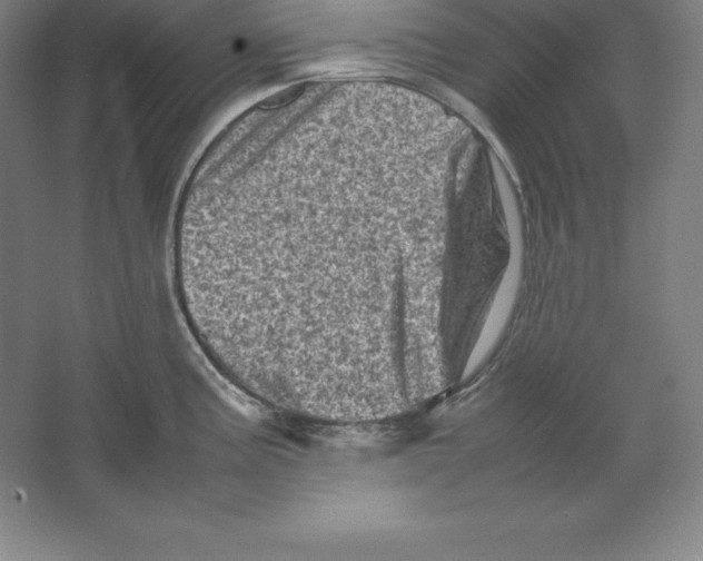 X0000062131195200512301453