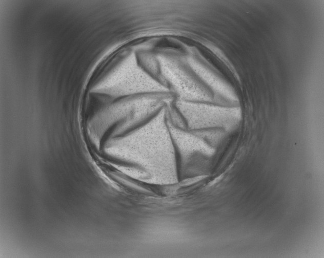 X0000062131197200512301453