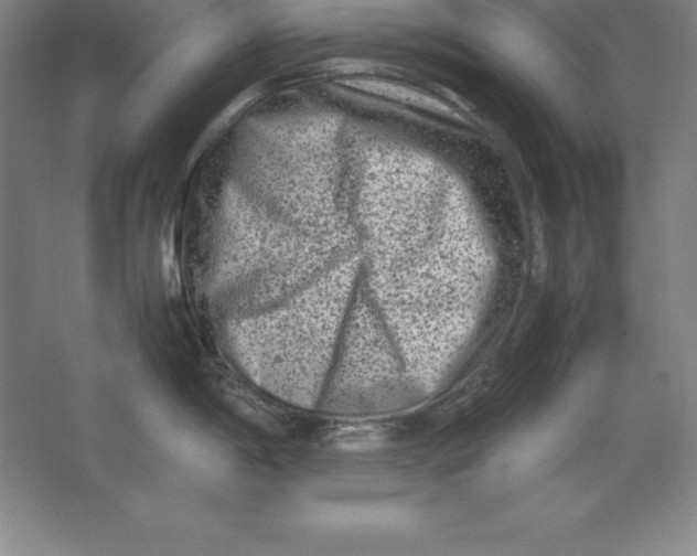 X0000062131198200512301453