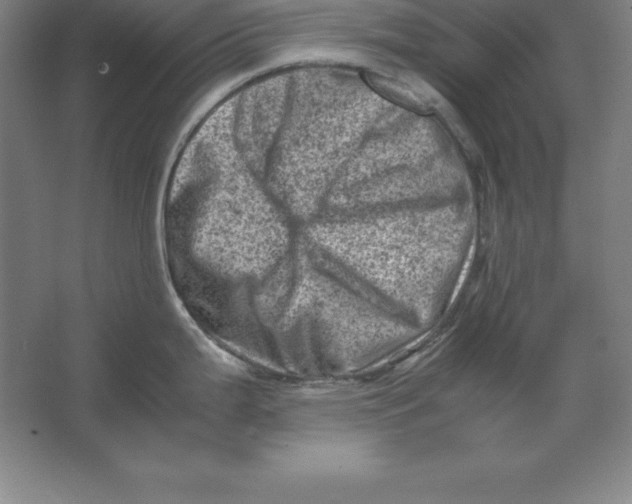 X0000062131199200512301453