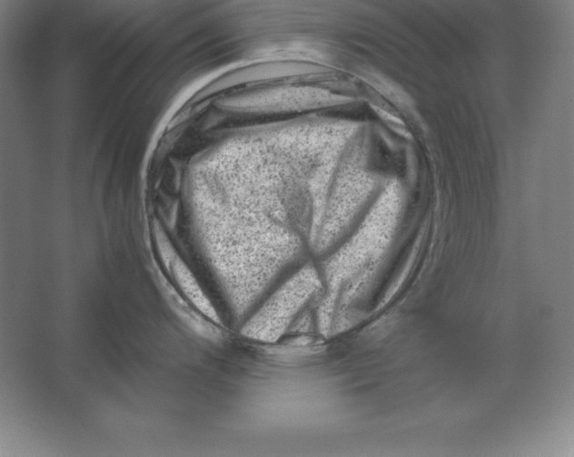 X0000062131200200512301453