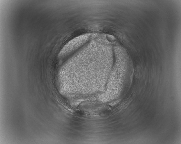 X0000062131201200512301452