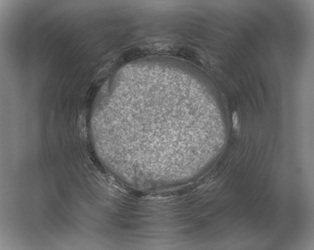 X0000062131203200512301452