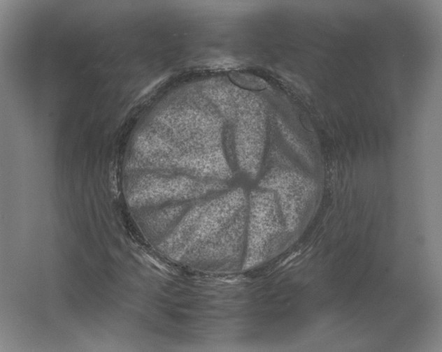 X0000062131205200512301452