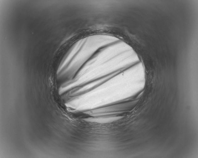 X0000062131206200512301452